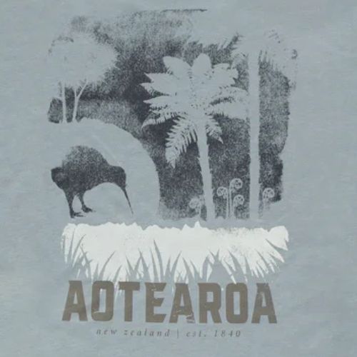 Kids Kiwi & Ponga Tee - Steel Blue