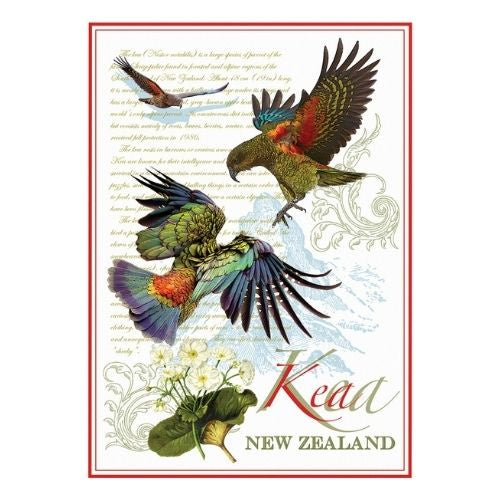 Designer Kea Tea Towel