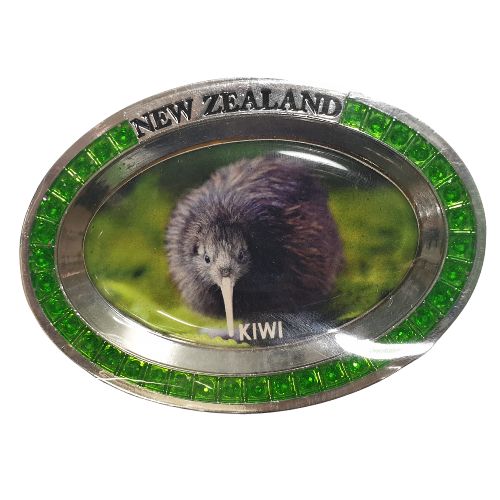 Kiwi Oval Magnet