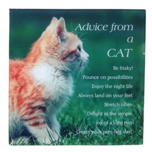 Advice from a Cat Plaque