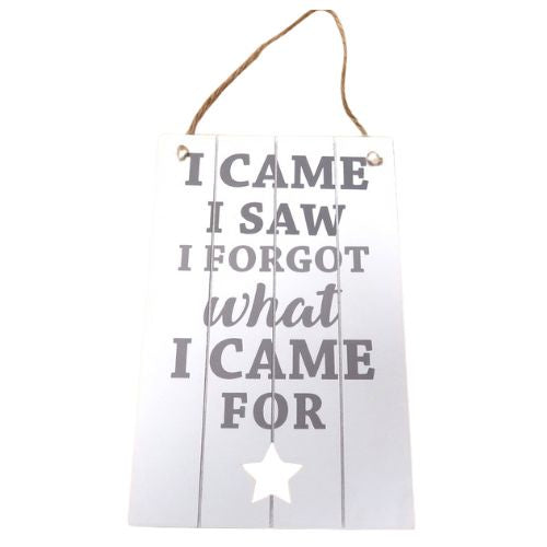 I Came, I Saw Sign