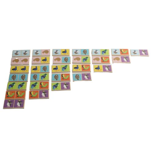 NZ Birds Dominoes