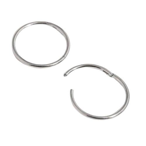 Surgical Steel Hinged Sleeper Earrings - Silver