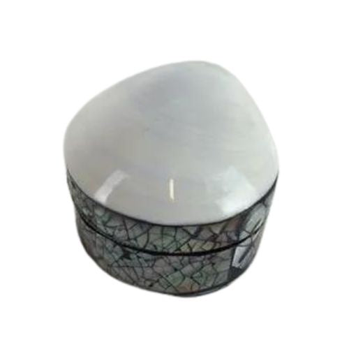 Milky Shell Box with Paua