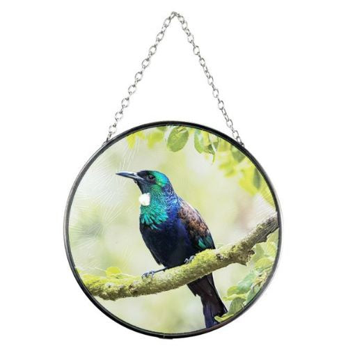 Native Bird Glass Sun Catcher - Tui