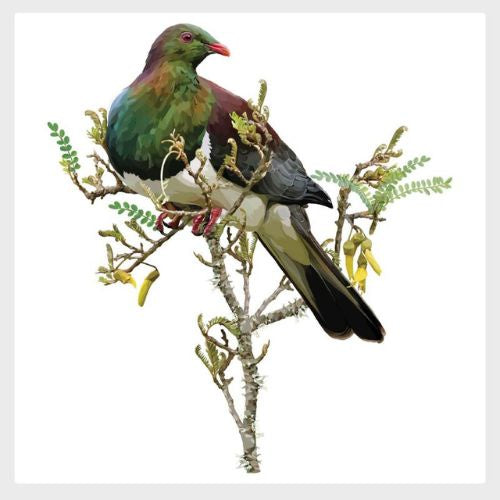 Kereru on Kowhai Branch Coaster Set