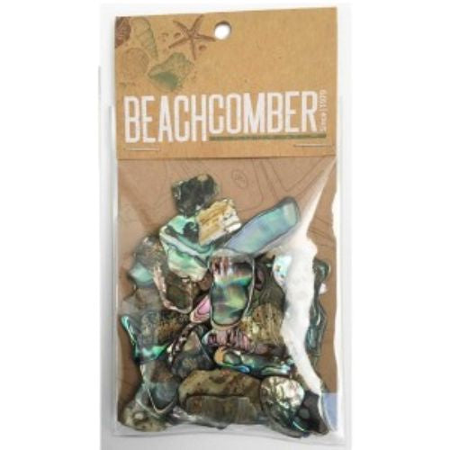 Paua Shell Pieces - Small