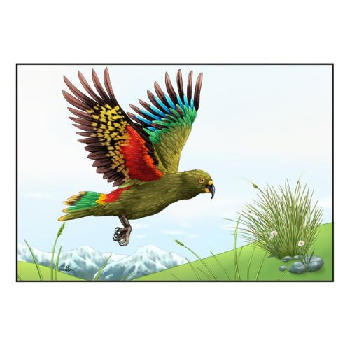 Sophie Blokker Greeting Card - New Zealand Kea in Flight