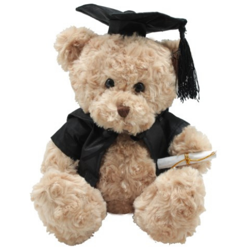 Graduation Bear - Brainy Box