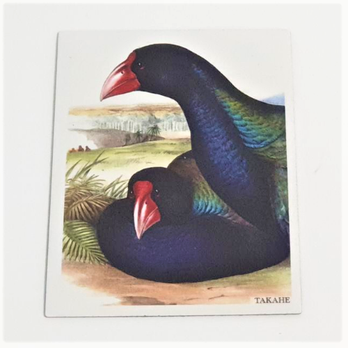 Art Magnet - Takahe Pair