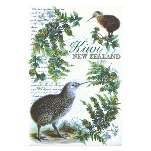 Vintage Kiwi Magnet