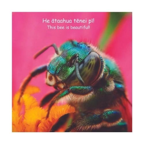 Pepeke Piwari! Beautiful Bugs!