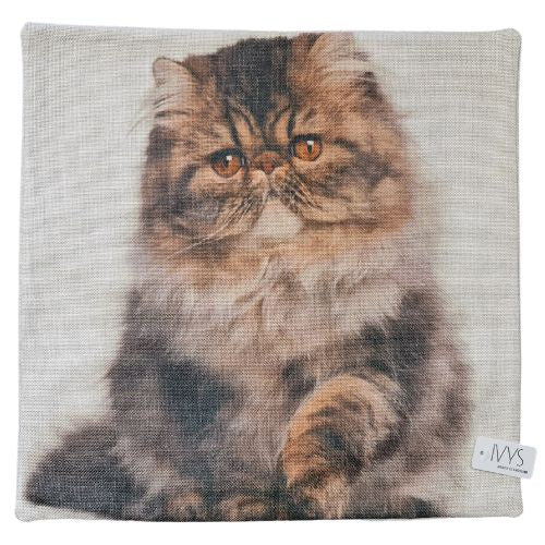 Grumpy Cat Cushion Cover