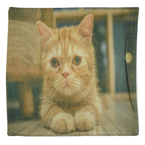 Ginger Cat Cushion Cover