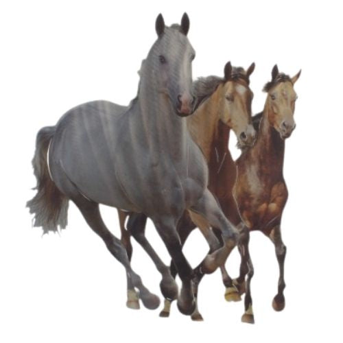 Wild Horses Wall Art