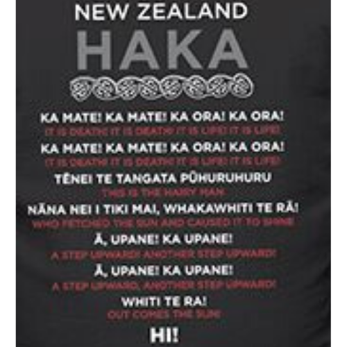 adults nz haka tee