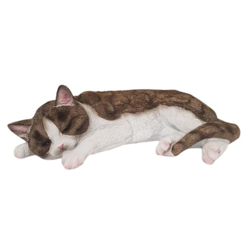 Sleeping Cat