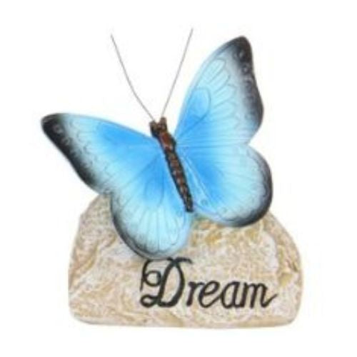 Inspirational Rock Butterfly - Dream