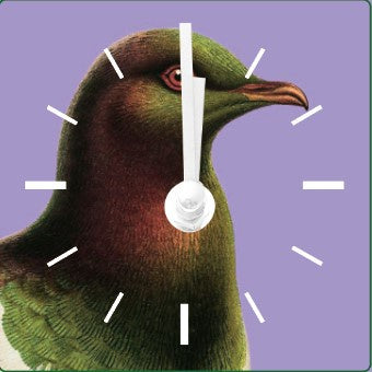 Kereru Magnetic Clock