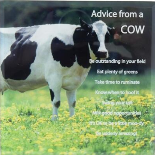 Advice from a Cow Plaque