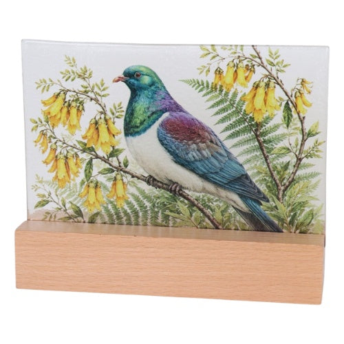 Kereru Glass Plaque