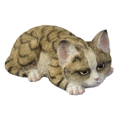 Sleeping Tabby Cat
