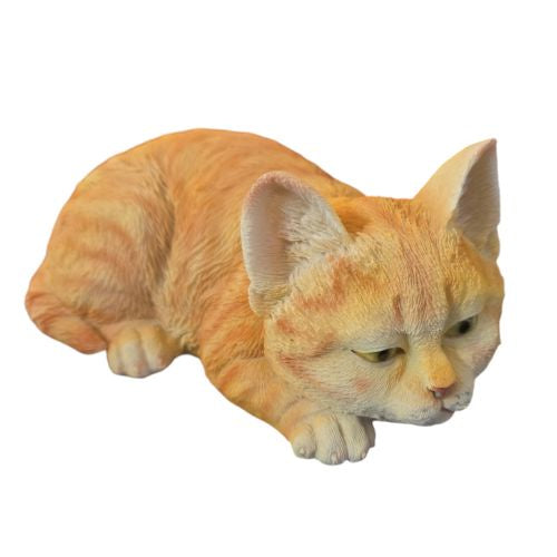 Sleeping Ginger Cat