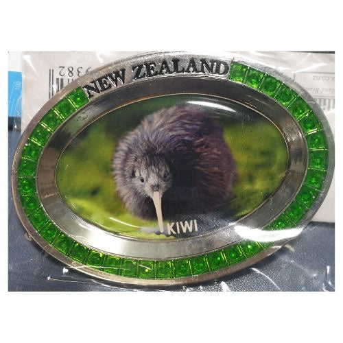 Kiwi Oval Magnet