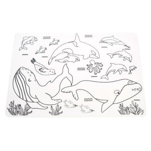 Animals of Aotearoa Colour-in Placemats