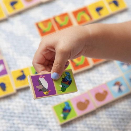 NZ Birds Dominoes