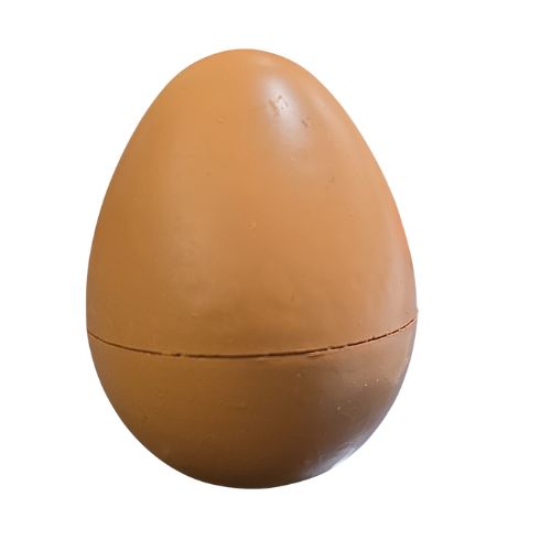 NZ Hatching Kiwi Growing Pet
