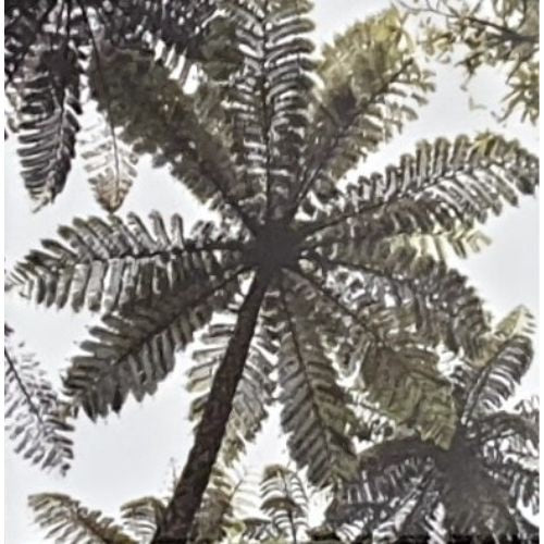 Fern Ceramic Tile  - 15cm