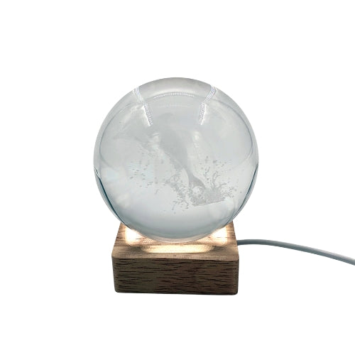Dolphin Crystal Ball with Light