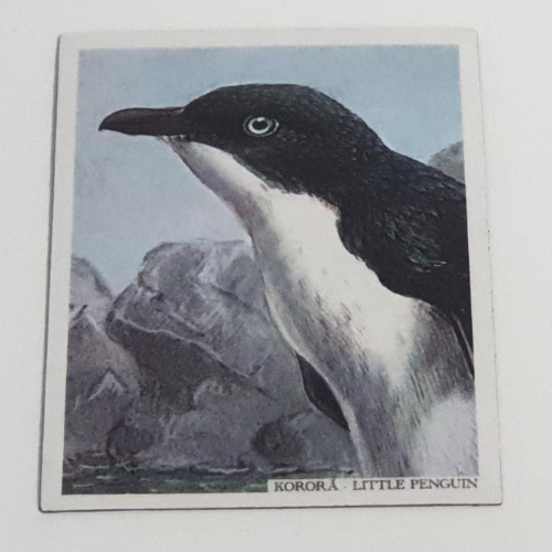 Art Magnet - Blue Penguin
