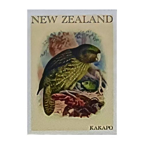 Art Magnet - Kakapo & Chick