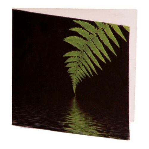 Fern Gift Card