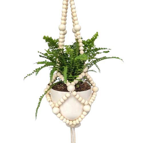 Macrame Beaded Planter Kit