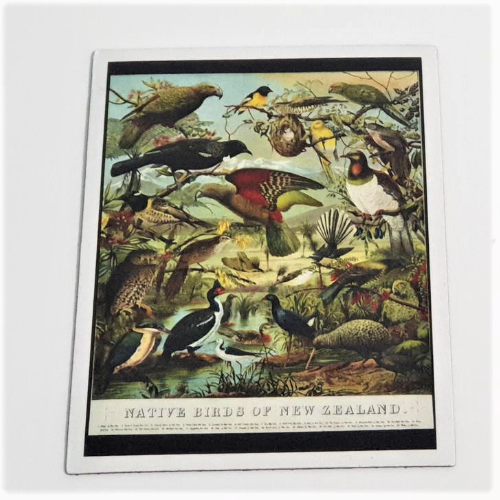 Art Magnet - Native Birds of NZ