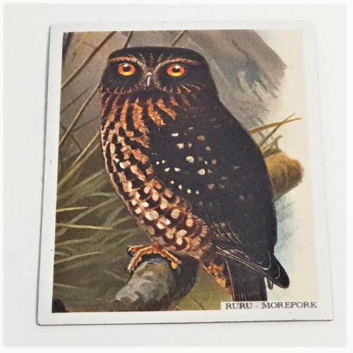 Art Magnet - Morepork - Ruru