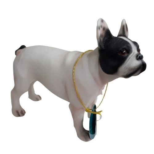 French Bulldog - Small