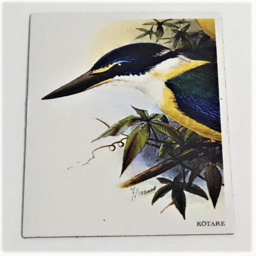 Art Magnet - Kingfisher - Kotare