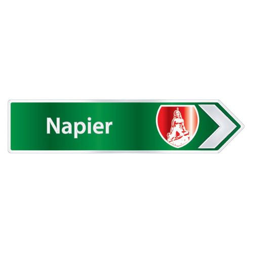 Napier Road Sign Foil Magnet