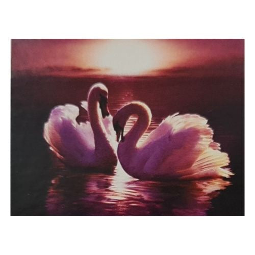 Swans 40x50cm Diamond Art