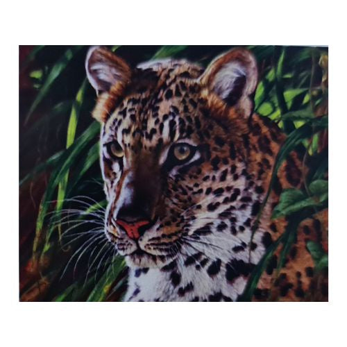 Cheetah 30x40cm Diamond Art