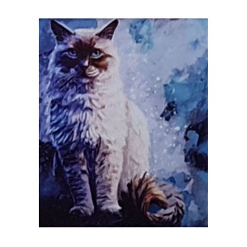 Cat Watching 30x40cm Diamond Art