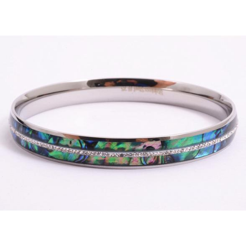 Paua & Zircon Stainless Steel Bracelet