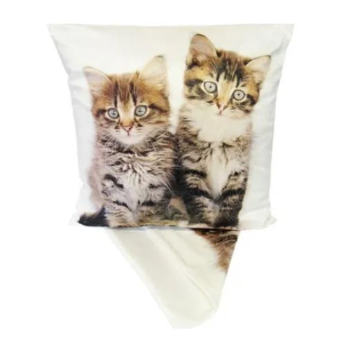 Cute Kittens Cushion