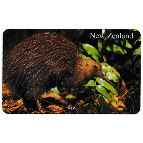 Scenic Magnet - Kiwi