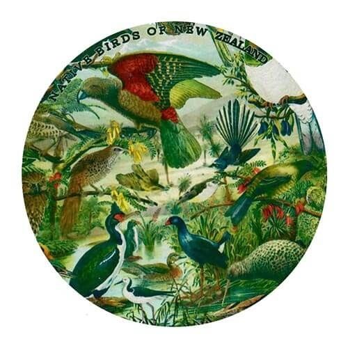Prestige Native Birds of NZ Coaster