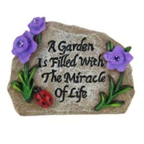 Inspirational Rock with Flowers - Garden